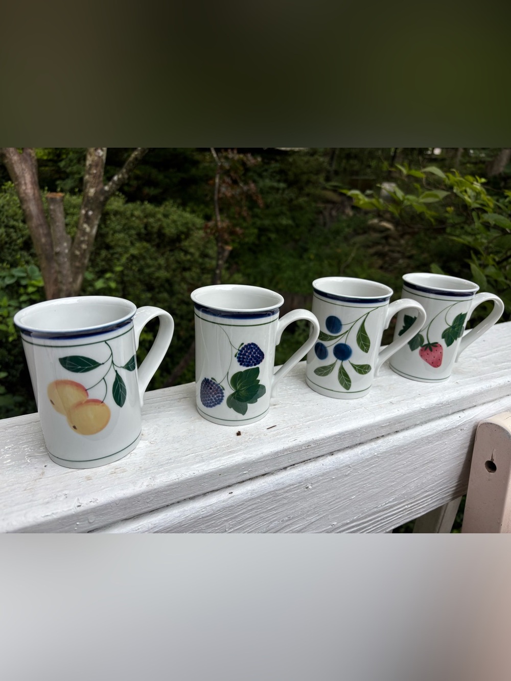 Dansk International Porcelain Coffee Tea Cup Mug Fruit Berry Design EUC